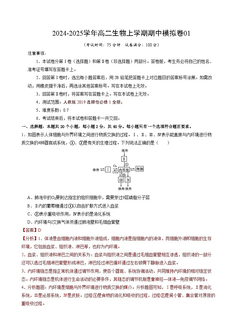 2024-2025学年高二上学期期中模拟考试生物（单选版，人教版2019选必1全册）01试卷（Word版附解析）01