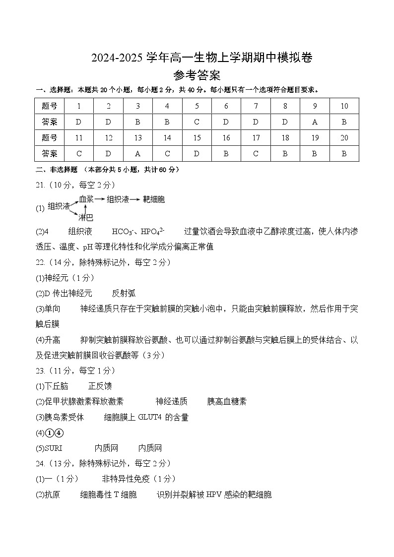 2024-2025学年高二上学期期中模拟考试生物（单选版，人教版2019选必1全册）01试卷（Word版附解析）01