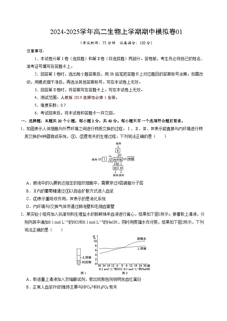 2024-2025学年高二上学期期中模拟考试生物（单选版，人教版2019选必1全册）01试卷（Word版附解析）01