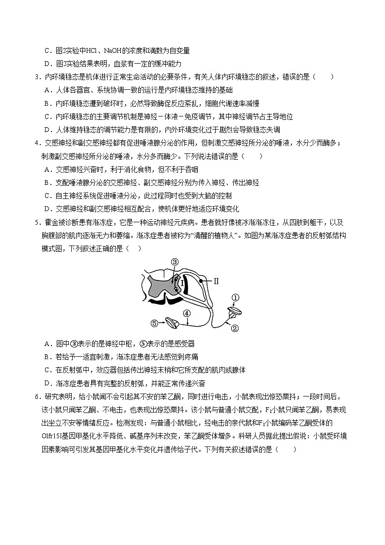 2024-2025学年高二上学期期中模拟考试生物（单选版，人教版2019选必1全册）01试卷（Word版附解析）02