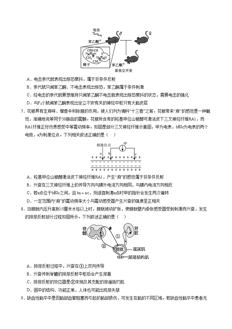 2024-2025学年高二上学期期中模拟考试生物（单选版，人教版2019选必1全册）01试卷（Word版附解析）03