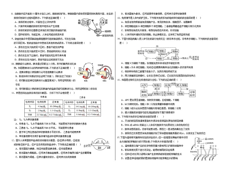 2024-2025学年高二上学期期中模拟考试生物（单选版，人教版2019选必1全册）01试卷（Word版附解析）02