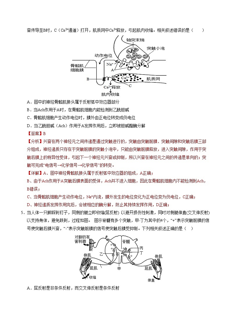 2024-2025学年高二上学期期中模拟考试生物（北京专用，第1~5章）试卷（Word版附解析）03