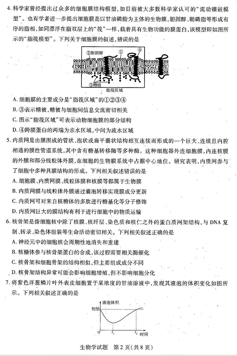 天一大联考●皖豫名校联盟2024-2025学年高三上学期10月月考+生物第2页
