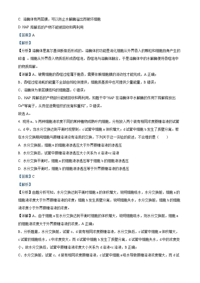 天津市静海区第一2025届高三上学期10月月考试卷生物（含答案）03