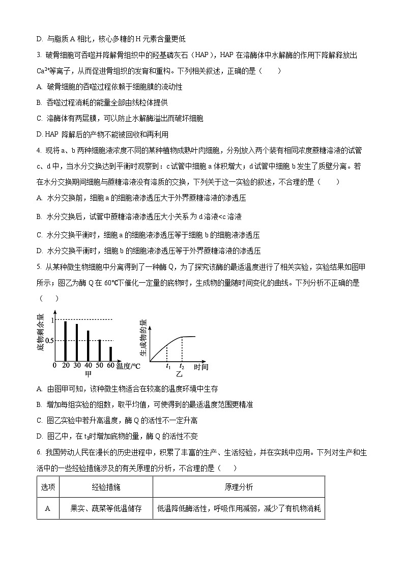 天津市静海区第一2025届高三上学期10月月考试卷生物（含答案）02
