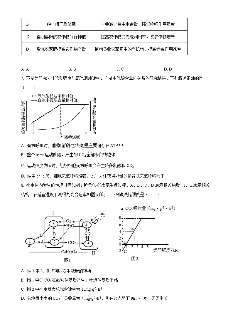 天津市静海区第一2025届高三上学期10月月考试卷生物（含答案）03