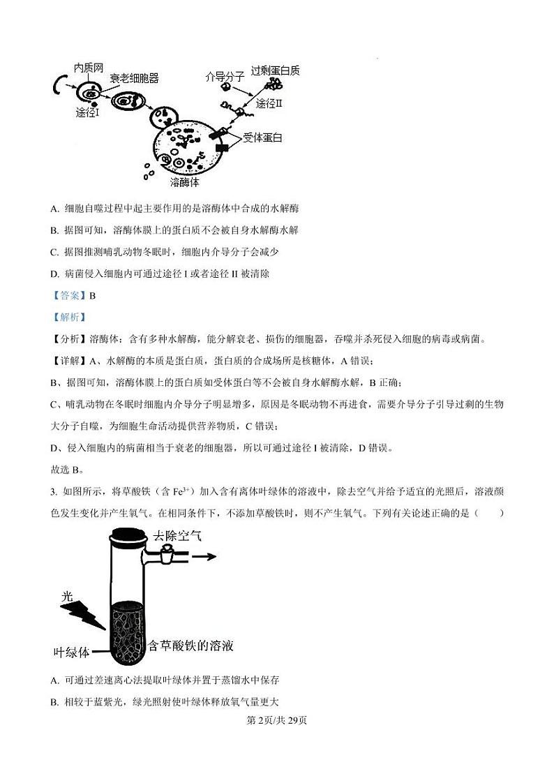 河北省衡水2024-2025学年高三上学期综合素质评价二+生物答案第2页