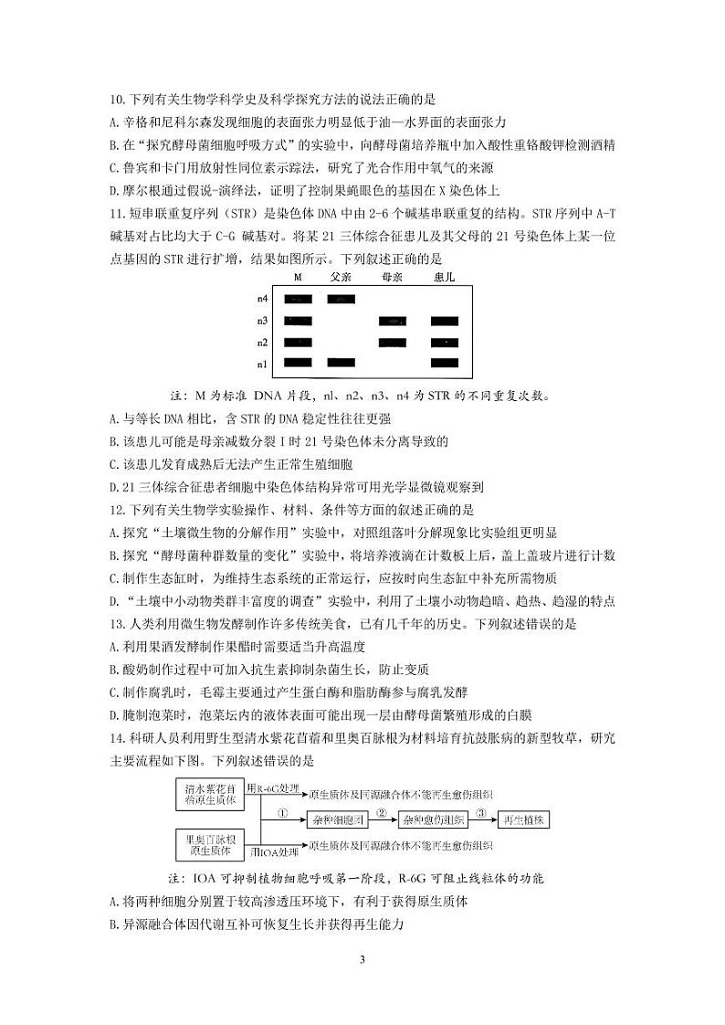2024-2025学年第一学期六校联合体10月联合调研第3页