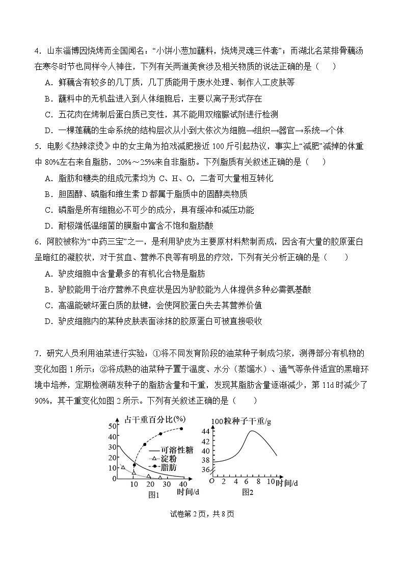 湖北省武汉市洪山高级中学2024-2025学年高一上学期10月月考生物试题02