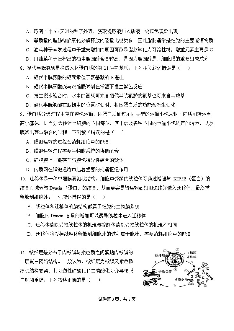 湖北省武汉市洪山高级中学2024-2025学年高一上学期10月月考生物试题03