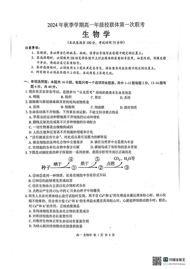 广西壮族自治区河池市十校2024-2025学年高一上学期10月第一次联考生物试题第1页