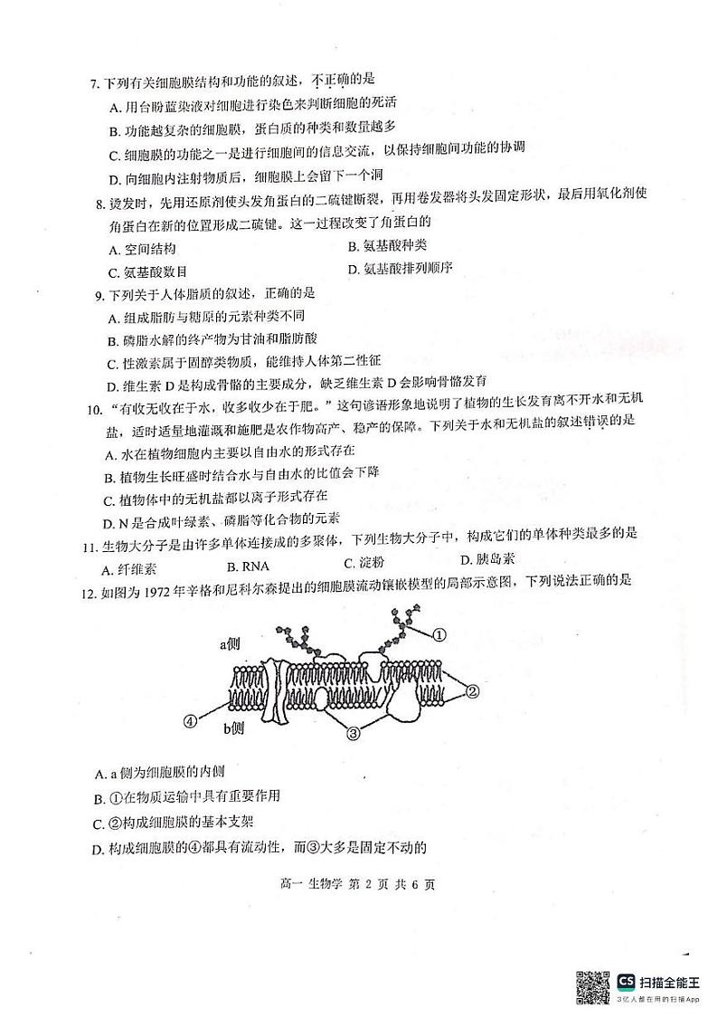 广西壮族自治区河池市十校2024-2025学年高一上学期10月第一次联考生物试题第2页