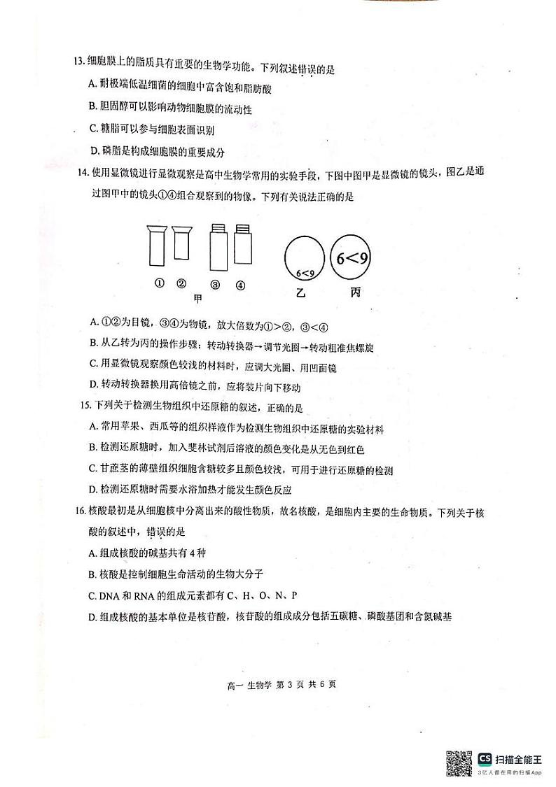 广西壮族自治区河池市十校2024-2025学年高一上学期10月第一次联考生物试题第3页