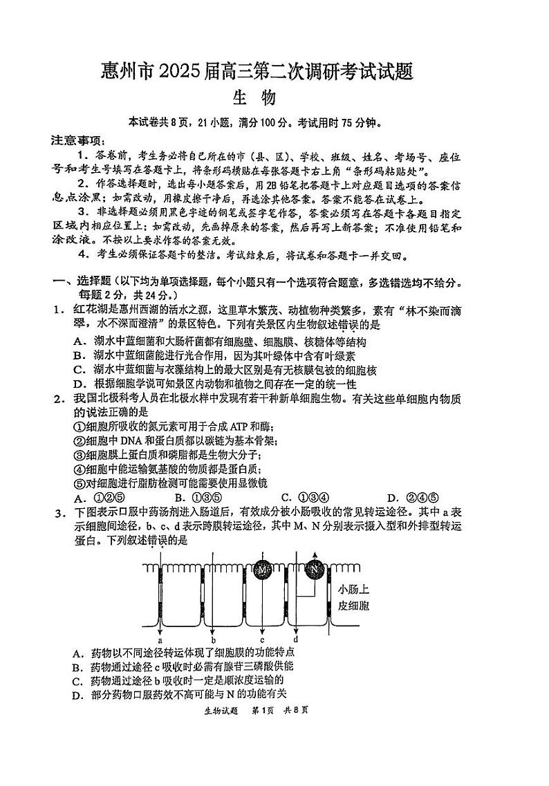 2025届高三惠州二调生物第1页