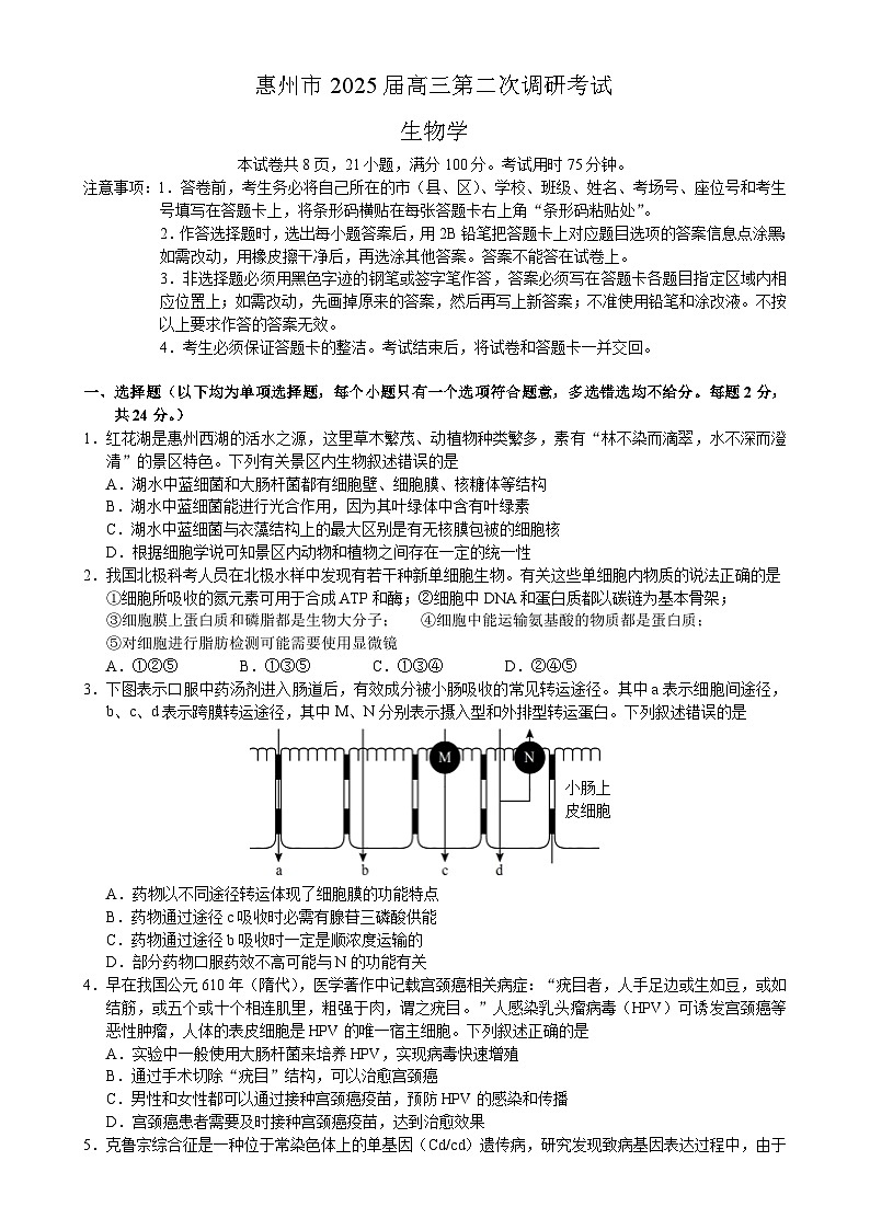 惠州市2025届高三第二次调研考试生物科试题 （终定稿）第1页
