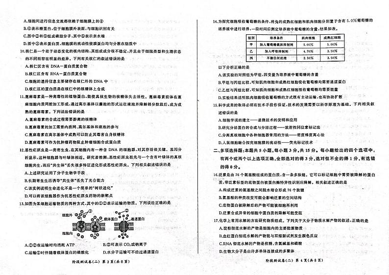 黑龙江省龙东地区2024-2025学年高一上学期阶段测试（期中）生物试卷（二）02