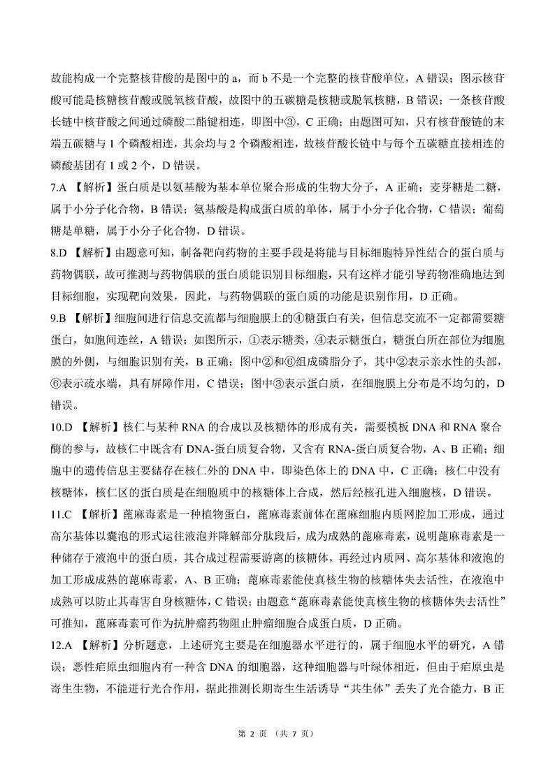 黑龙江省龙东地区2024-2025学年高一上学期阶段测试（期中）生物试卷（二）02