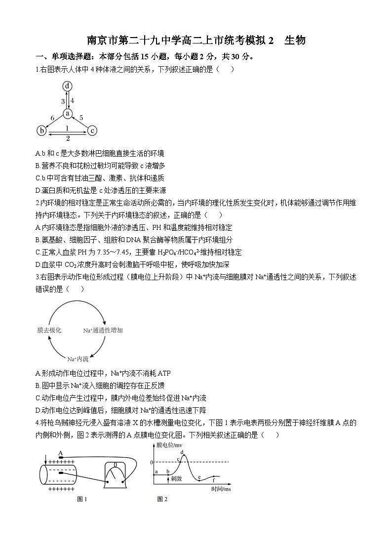 江苏省南京市第二十九中学2024-2025学年高二上学期第二次月考（期中模拟）生物试题第1页