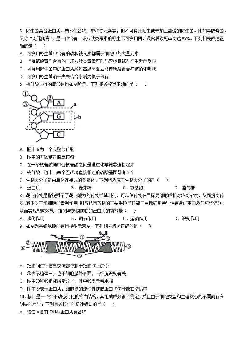 黑龙江省龙东地区2024-2025学年高一上学期阶段测试（期中）生物试卷（二）(无答案)02