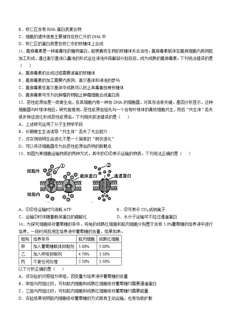 黑龙江省龙东地区2024-2025学年高一上学期阶段测试（期中）生物试卷（二）(无答案)03