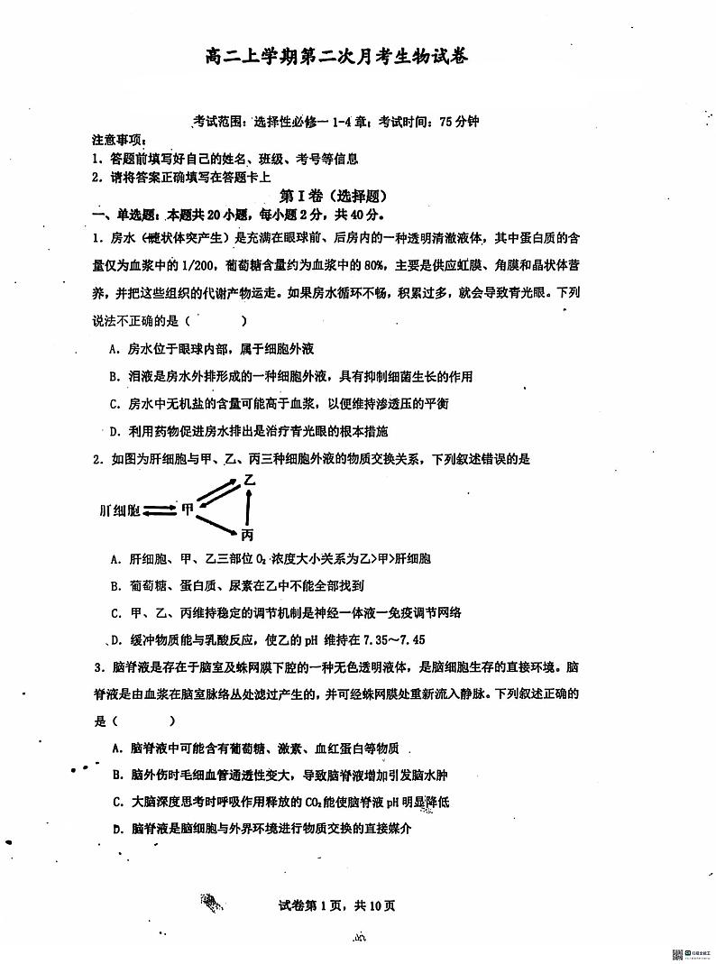 河北省沧州市泊头市第一中学2024-2025学年高二上学期10月月考生物试题第1页