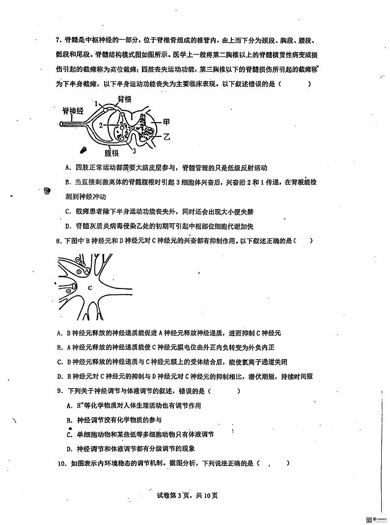 河北省沧州市泊头市第一中学2024-2025学年高二上学期10月月考生物试题第3页