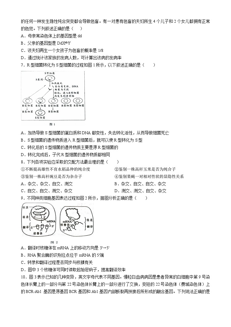 重庆市渝中区重庆市巴蜀中学校2024-2025学年高二上学期10月月考生物试题第2页