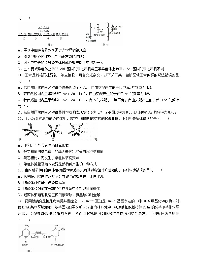 重庆市渝中区重庆市巴蜀中学校2024-2025学年高二上学期10月月考生物试题第3页