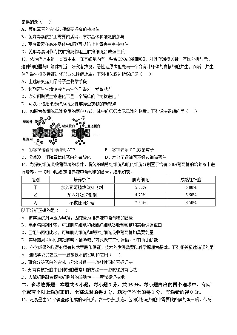 黑龙江省龙东地区2024-2025学年高一上学期阶段测试（期中）生物试卷（二）03