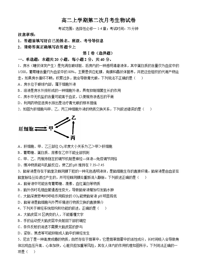 河北省沧州市泊头市第一中学2024-2025学年高二上学期10月月考生物试题(无答案)第1页