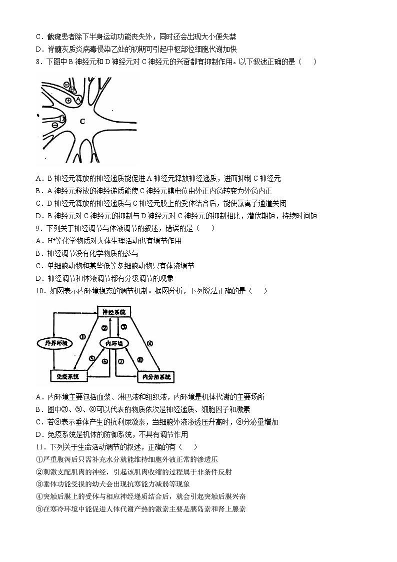 河北省沧州市泊头市第一中学2024-2025学年高二上学期10月月考生物试题(无答案)第3页