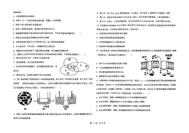 吉林省吉林市松花江中学2024-2025学年高一上学期期中考试生物试题第2页