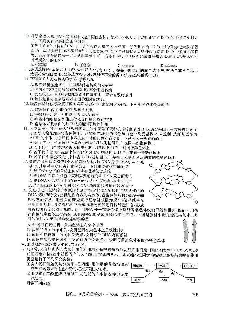 河北省承德市承德县第一中学等校2024-2025学年高三年级上学期10月月考生物试题第3页