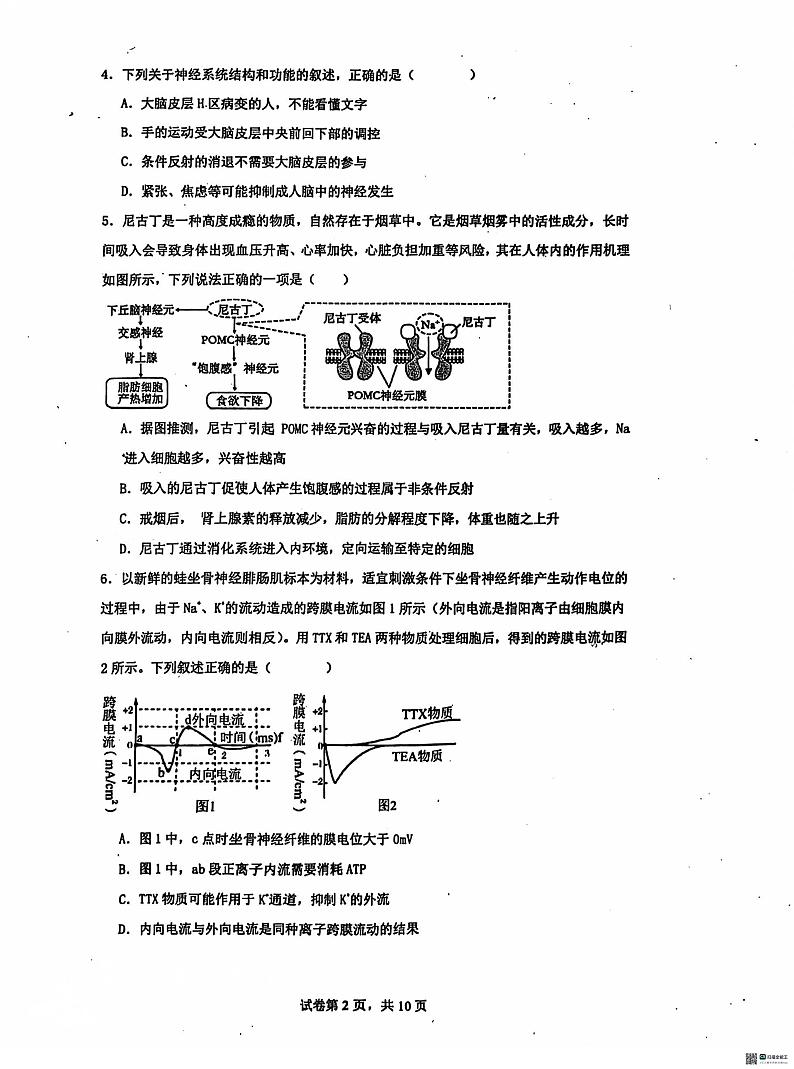 河北省沧州市泊头市第一中学2024-2025学年高二上学期10月月考生物试题02