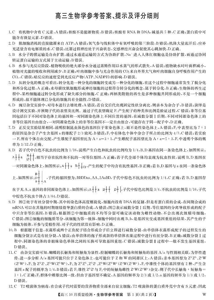 河南省许平汝名校2024-2025学年高三上学期10月期中考试生物试题01