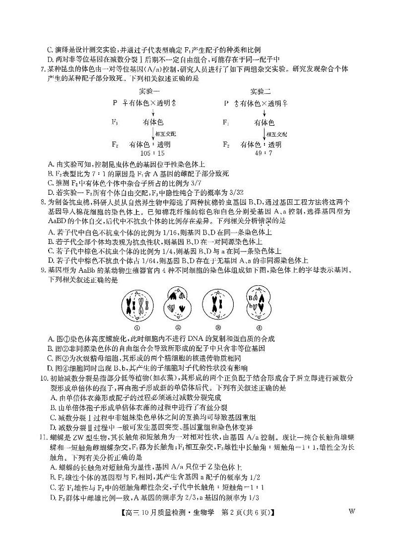 河南省许平汝名校2024-2025学年高三上学期10月期中考试生物试题02