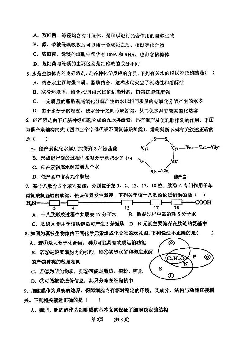 吉林省吉林市第二中学2024-2025学年高一上学期期中考试生物试题第2页