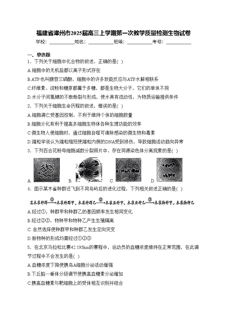 福建省漳州市2025届高三上学期第一次教学质量检测生物试卷(含答案)01