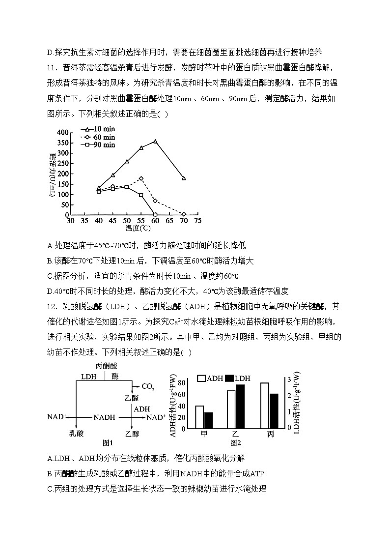 福建省漳州市2025届高三上学期第一次教学质量检测生物试卷(含答案)03