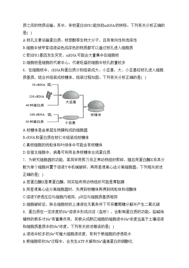 河南省2025届高三上学期9月质量检测生物试卷(含答案)第2页