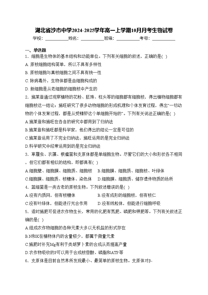 湖北省沙市中学2024-2025学年高一上学期10月月考生物试卷(含答案)01
