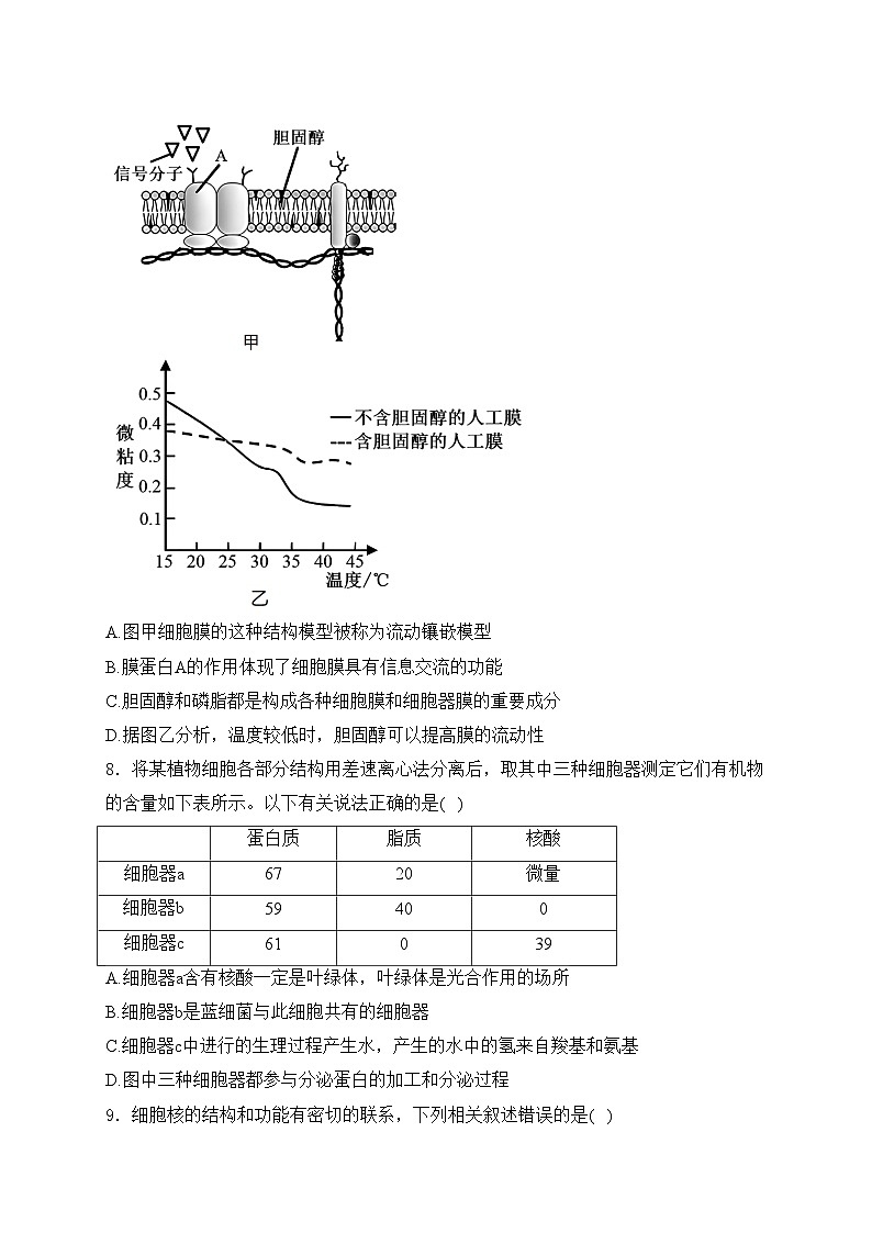 黄梅县育才高级中学2025届高三上学期9月月考生物试卷(含答案)第3页