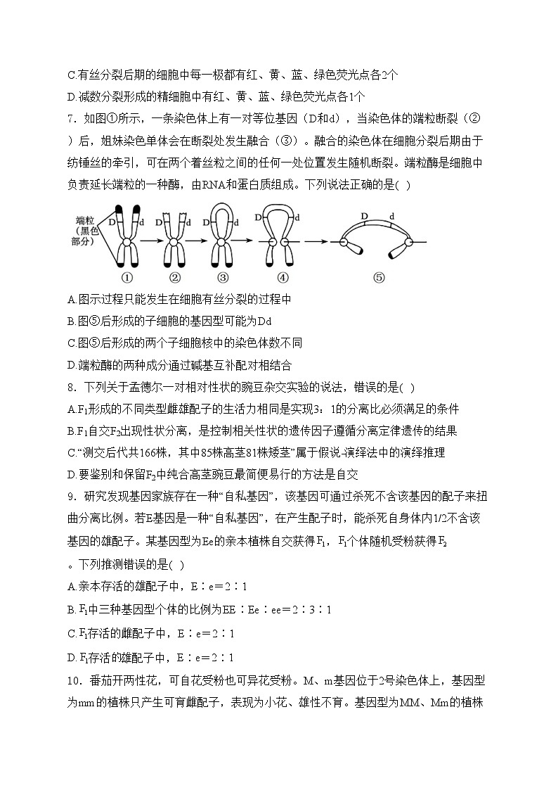 济宁市实验中学2025届高三上学期10月月考生物试卷(含答案)第3页