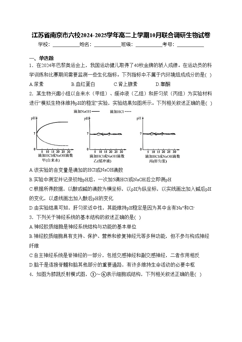 江苏省南京市六校2024-2025学年高二上学期10月联合调研生物试卷(含答案)01