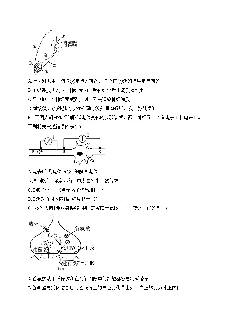 江苏省南京市六校2024-2025学年高二上学期10月联合调研生物试卷(含答案)02