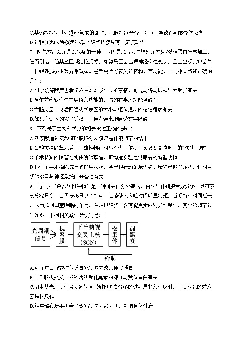 江苏省南京市六校2024-2025学年高二上学期10月联合调研生物试卷(含答案)03