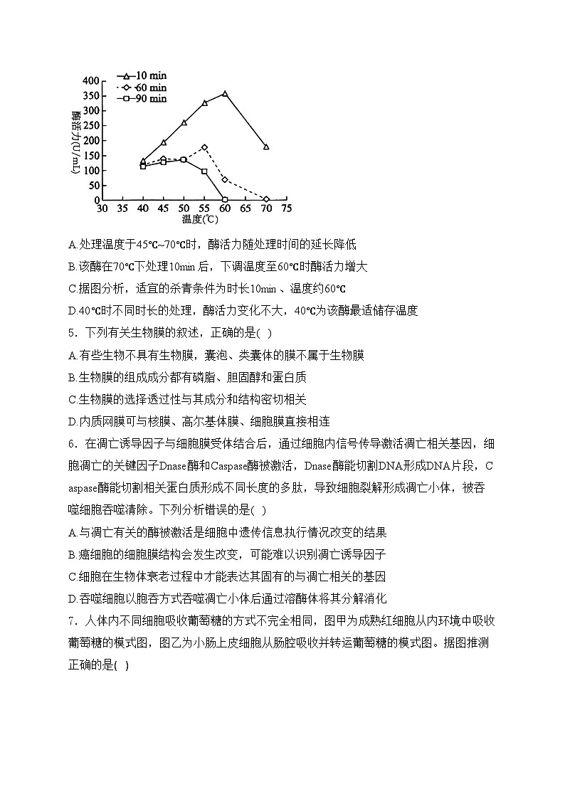 江苏省盐城市五校联考2025届高三上学期10月第一次学情调研生物试卷(含答案)第2页