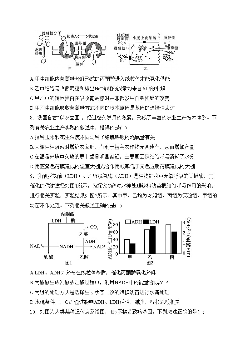 江苏省盐城市五校联考2025届高三上学期10月第一次学情调研生物试卷(含答案)第3页