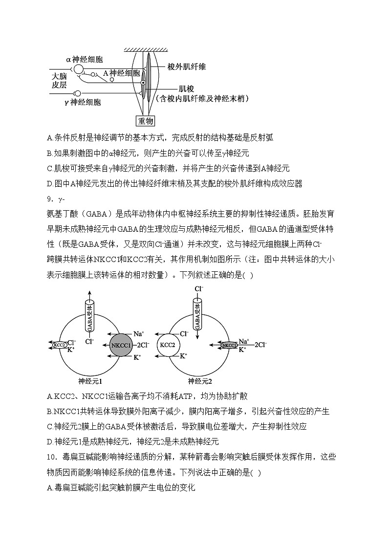 江西省抚州市崇仁一中、广昌一中、南丰一中、金溪一中2024-2025学年高二上学期第一次月考联考生物试卷(含答案)03